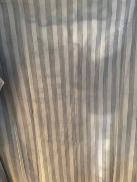 Photo of free Curtains tree pattern, eyelet (St Peter’s, Newcastle, NE6) #3