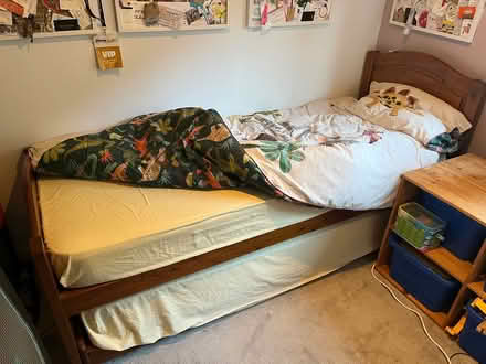 Photo of free Pine Trundle Bed (GU15 2AE) #1
