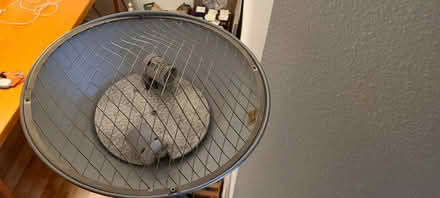 Photo of free Tall dimmable lamp (West Denver) #2