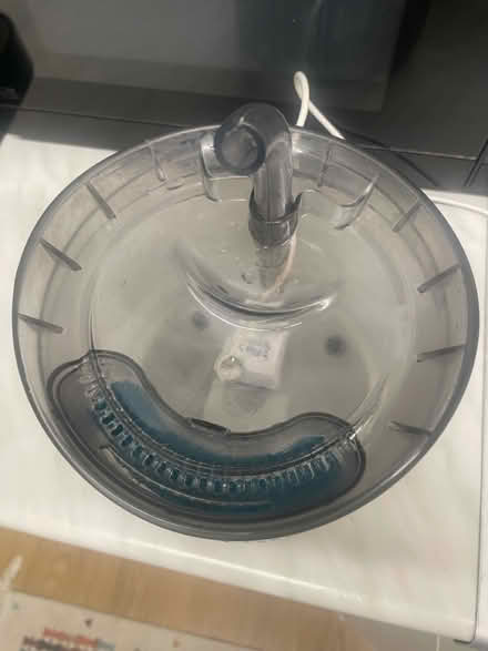 Photo of free Cat fountain (Hackney, E8) #2