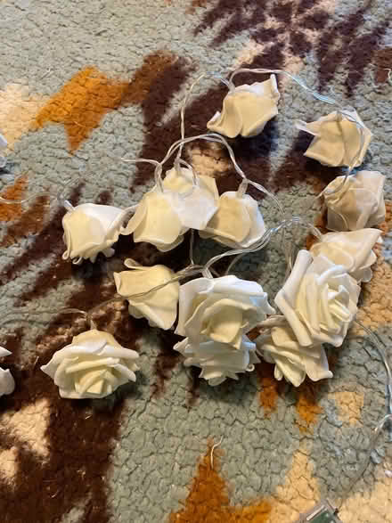 Photo of free String of rose lights (Montebello) #3