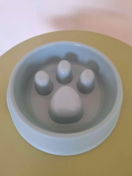 Photo of free Slow feed pet bowl (Pemberton WN5) #1