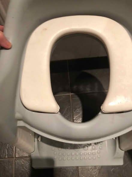 Photo of free Toddlers toilet seat and step (Orford Warrington) #1