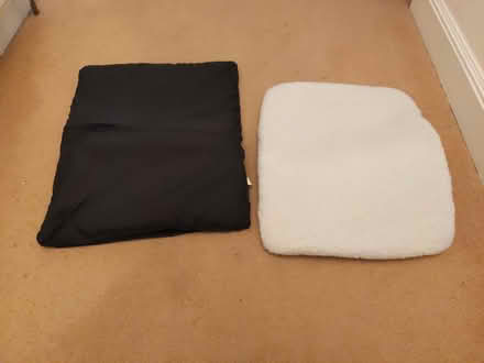 Photo of free 2 thin foam cushion pads (St Andrews KY16) #1