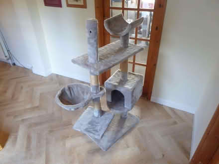 Photo of free Cat Tree (IP12) #2