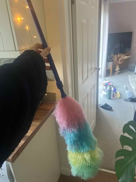 Photo of free Feather duster (Stanway, CO3) #1