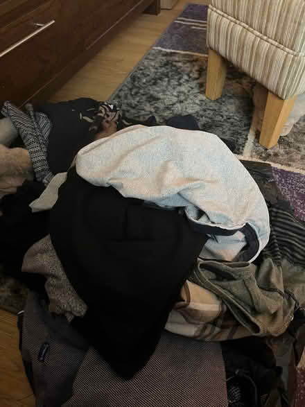 Photo of free Mens lol top bundle (Ipswich IP2) #1