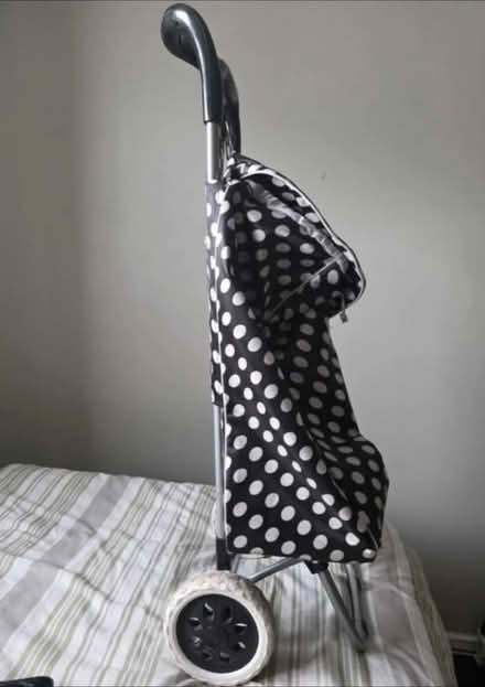 Photo of Shopping trolley (Chelmsford CM1) #2