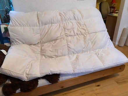 Photo of free Feather Mattress Pad (Duncan) #1