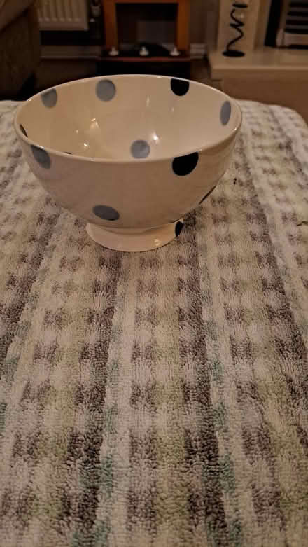 Photo of free Blue spotted bowl (Littlehaven) #1