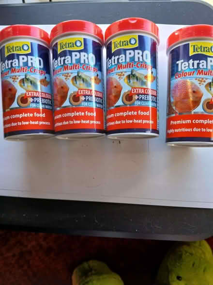 Photo of free Tropical fish food (Little Chester DE1) #1