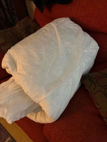 Photo of free Single duvet (Ipswich IP2) #1