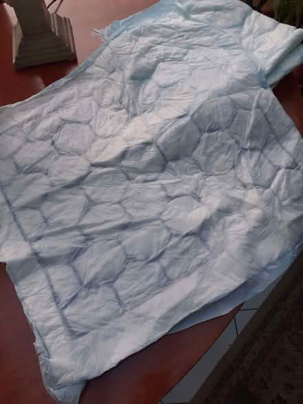 Photo of free Floor puppy pads? (Southport PR8) #1