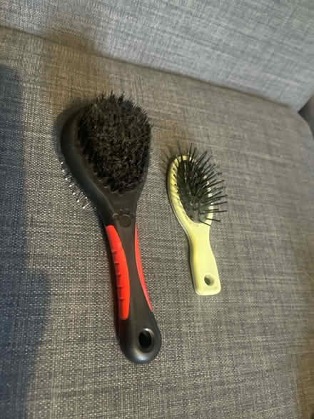 Photo of free 2 cat brushes (Cardonald, Glasgow, G52) #1