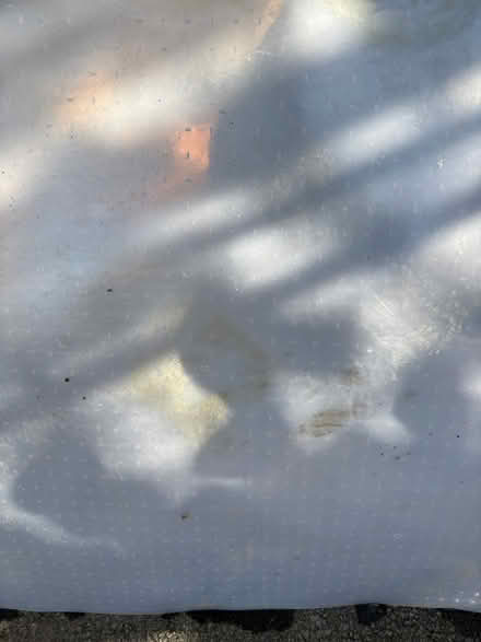 Photo of free Heavy duty plastic carpet cover (East Terra Linda) #2