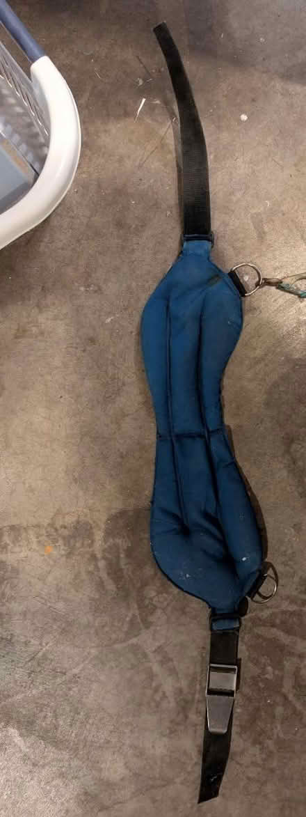 Photo of free 30 lb scuba dive weight belt (Seattle Bitter Lake) #1