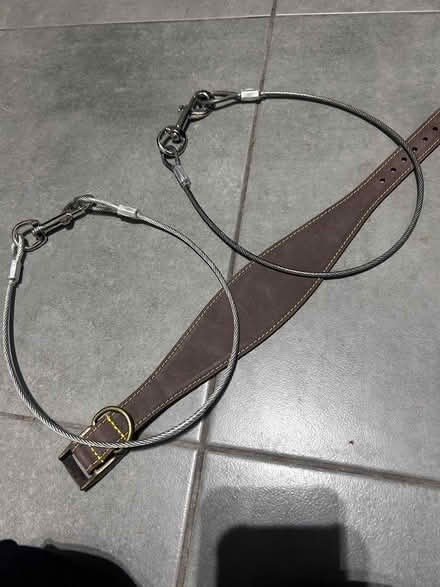 Photo of free Dog accessories (Stanford, Biggleswade SG18) #1