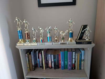 Photo of free Old trophies (Llanerch SA15) #1
