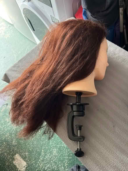 Photo of free Head of hair & clip (Hemel HP2) #3