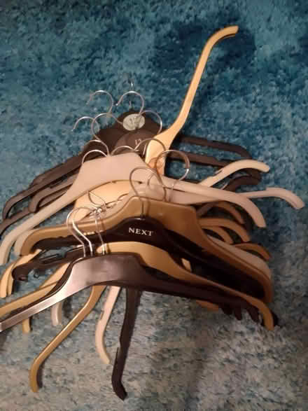 Photo of free Coat hangers (Five Oak Green) #1