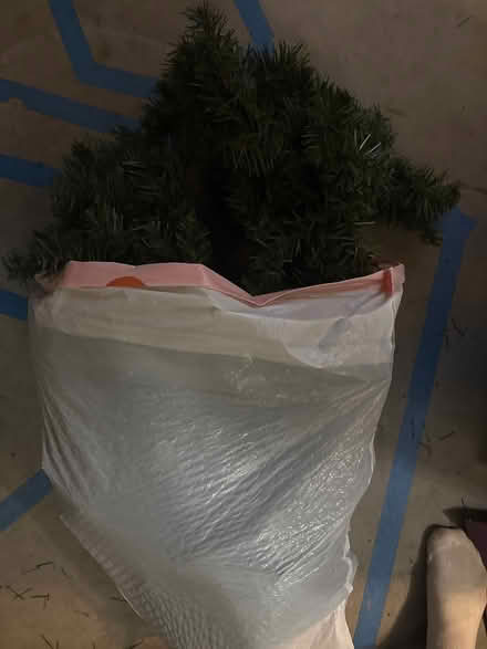 Photo of free Christmas tree (Halfway- Hagerstown) #1