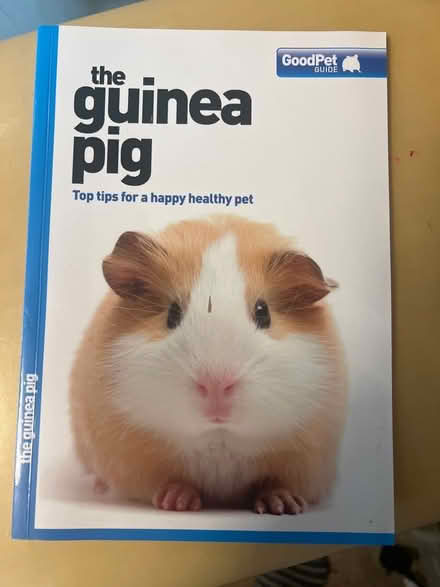 Photo of free The Guinea Pig GoodPet Guide (Cinderhill NG8) #1