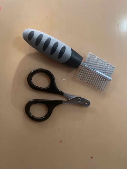 Photo of free Small animal nail clippers and comb (Cinderhill NG8) #1
