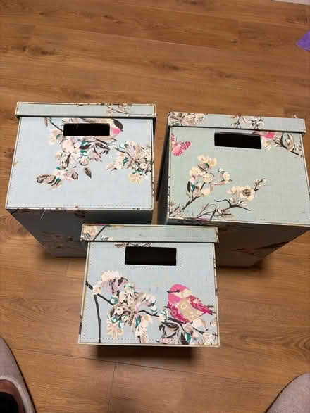 Photo of free Three bird print boxes (Poplars SG2) #1