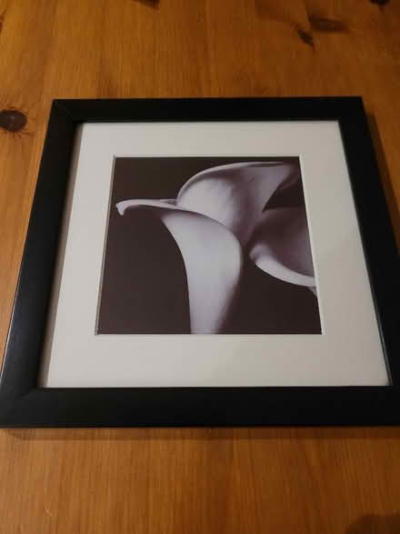 Photo of free Photo frame (Shenley Fields B29) #1