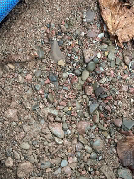 Photo of free Pallet (Hereford HR1) #2