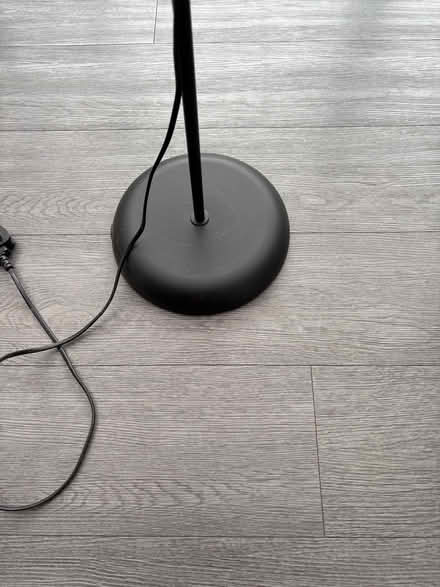 Photo of free 5’ standing light (Crowborough TN6) #3