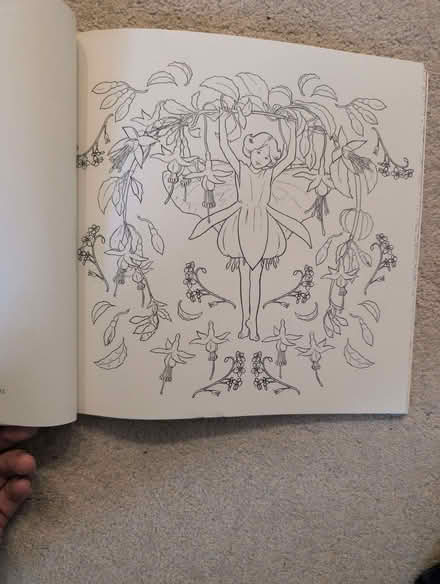 Photo of free flower fairies colouring book (Dogkennel Green RH5) #2