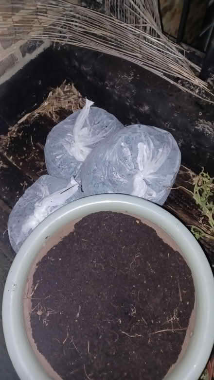 Photo of free High quality compost (Paddington W2) #1