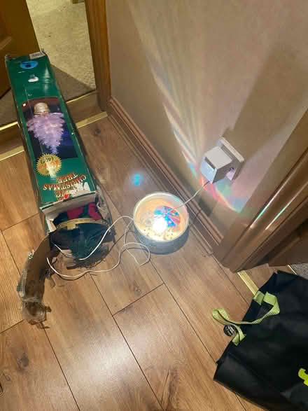 Photo of free Fibre optic christmas tree (Sandyford) #1