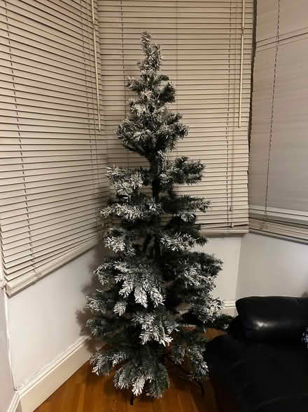 Photo of free 6ft 6in artificial tree (Stockwell SW9) #1