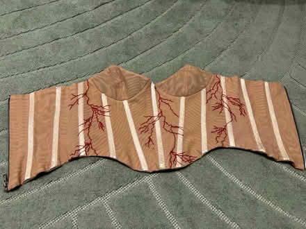 Photo of free Sheer Mesh Corset Top (Hoxton E2) #4