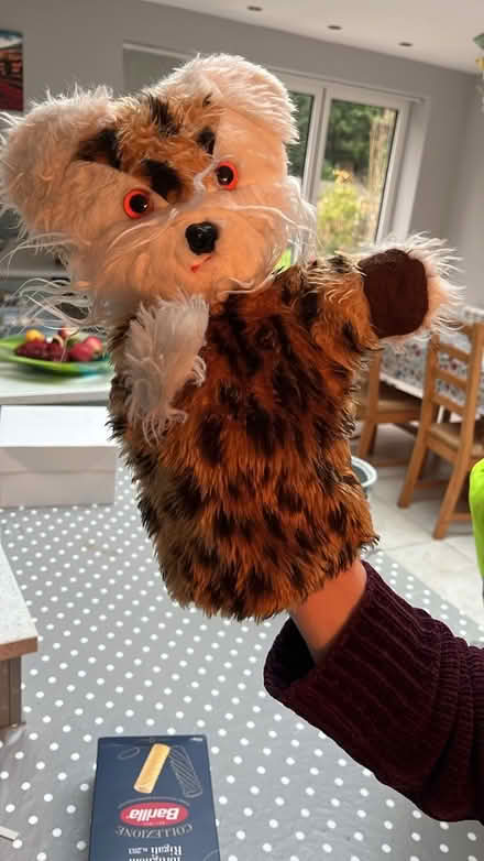 Photo of free Various soft toys (Ashton CH3) #1