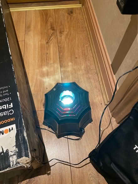 Photo of free Green fibre optic Christmas tree (Sandyford) #2