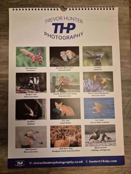 Photo of free Nature pictures from 2025 calendar (Wokingham RG40) #1