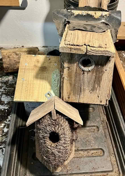 Photo of free Bird nestboxes (Hatfield AL10) #2