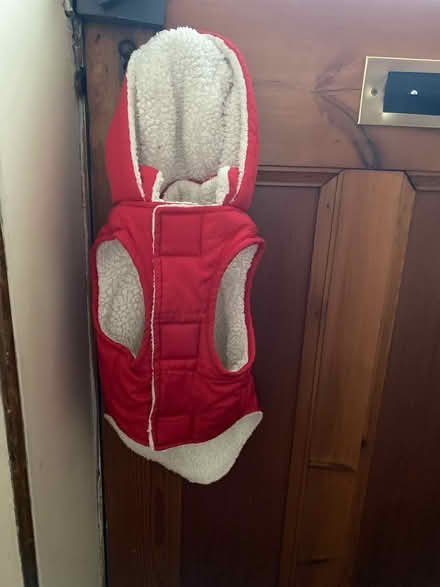 Photo of free Dog coat (AB15) #2