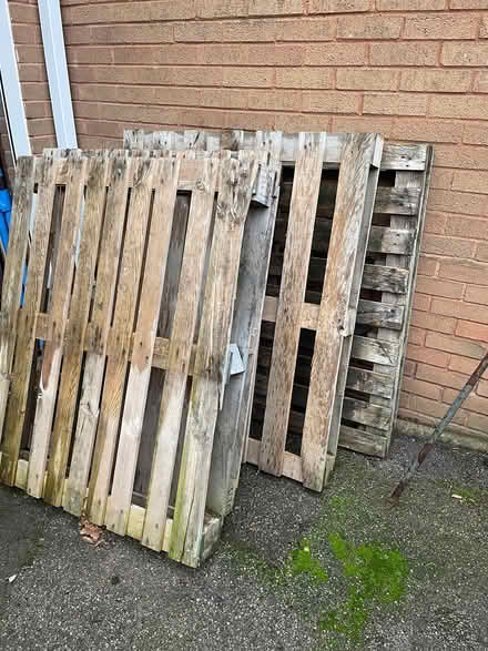 Photo of free Pallets (Boley Park WS14) #1