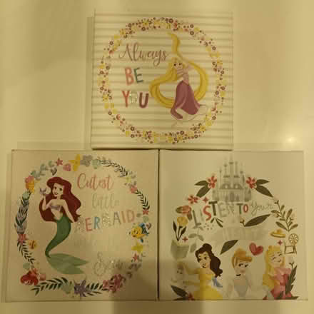 Photo of free 3 Disney Princess Wall Art (Northaw EN6) #1