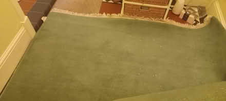 Photo of free Large green rug (Loughborough central) #1