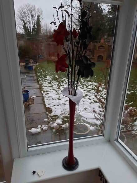 Photo of free Vase (Solihull B91) #2