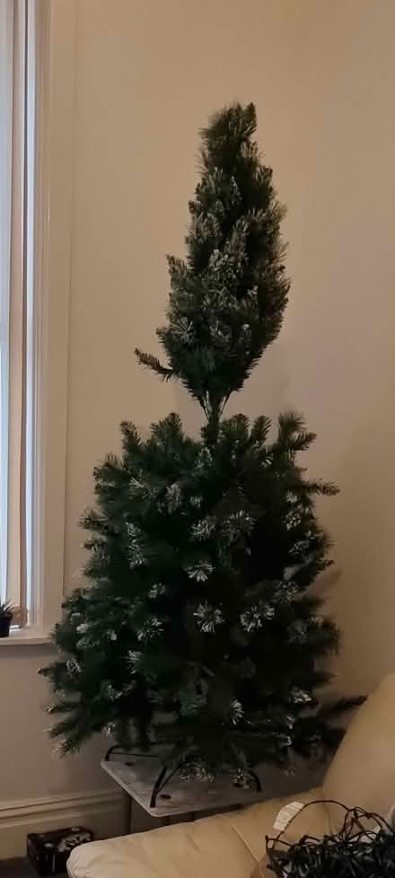 Photo of free Christmas tree (M11 clayton) #1