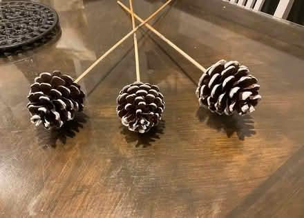 Photo of free Pine cones on sticks (Sale M33) #1