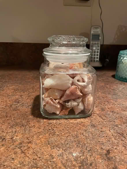 Photo of free Glass jar with shells (Roselle) #1