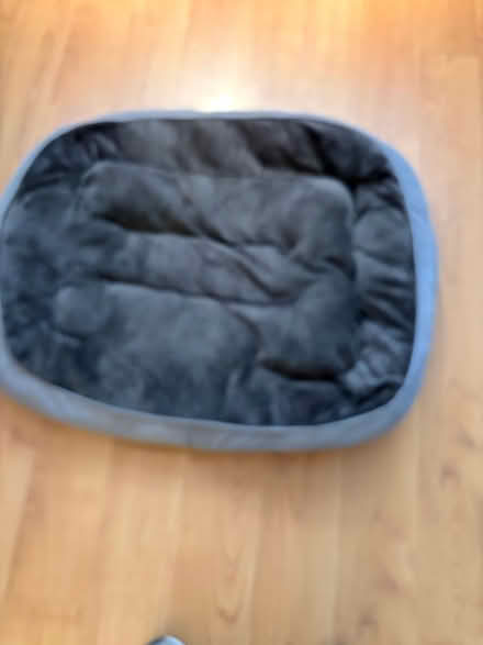 Photo of free Dog bed (medium) (Stretton Sugwas, HR4) #1