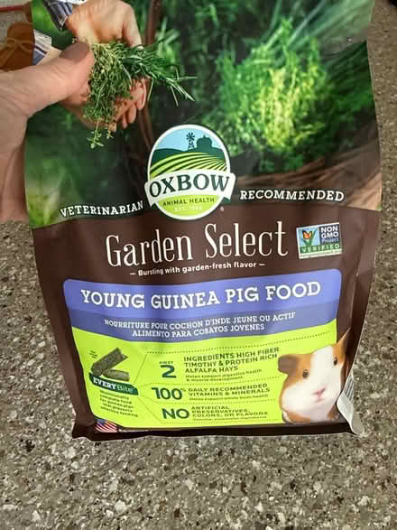Photo of free Young guinea pig pellets (North Barrington) #1